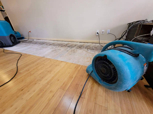 Professional Flood Damage Cleanup technician working in Dripping Springs, TX